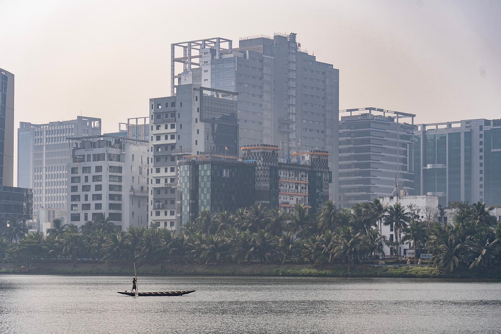 A fisherman working a shallow pond in the East Kolkata Wetlands, with the towers of the city rising directly behind him.