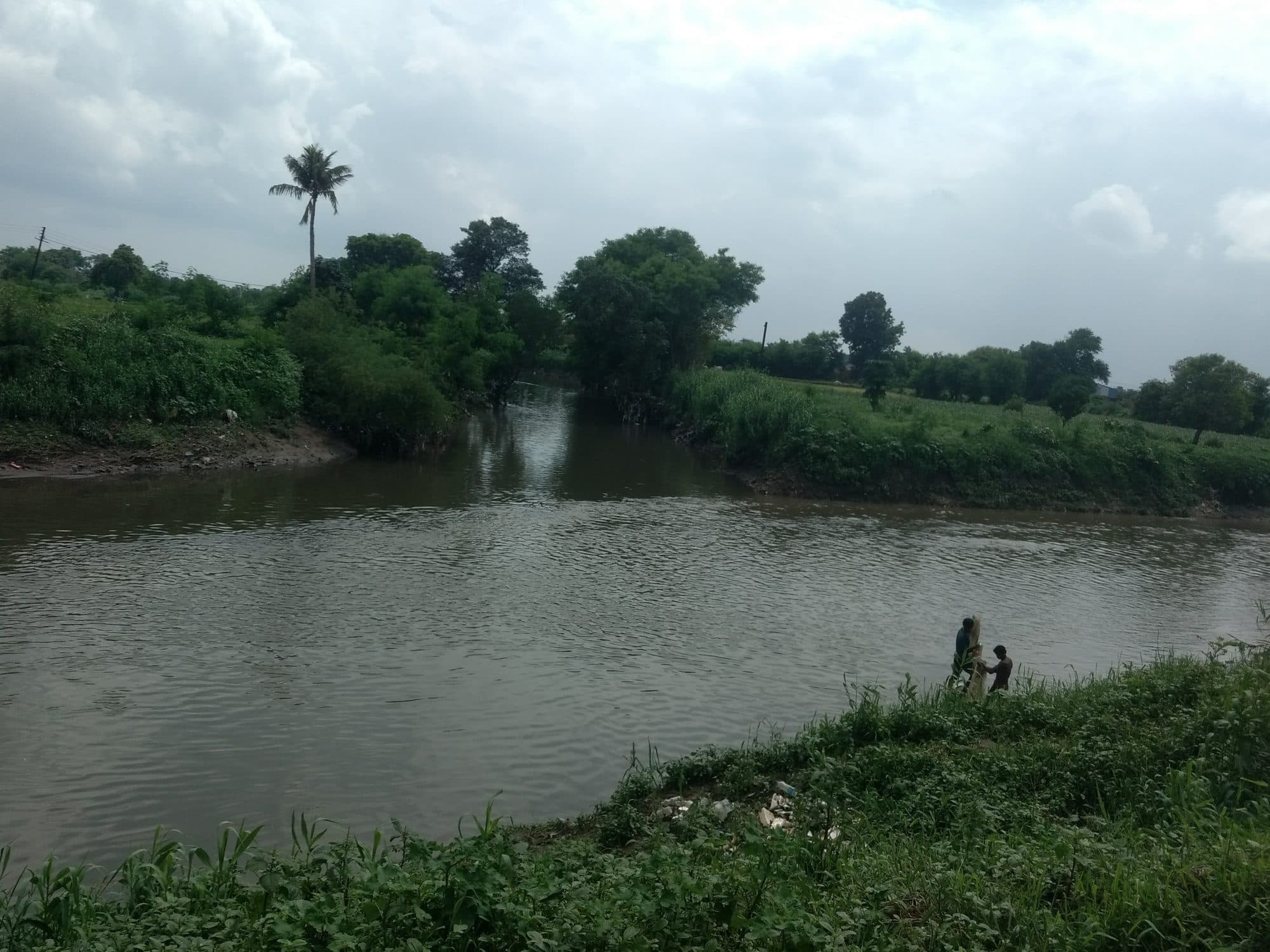A brown river under a grey monsoon sky, with a second channel joining it from the far bank between clumps of trees and a tall palm. Thick green weeds cover the near bank, where two men stand at the water's edge.