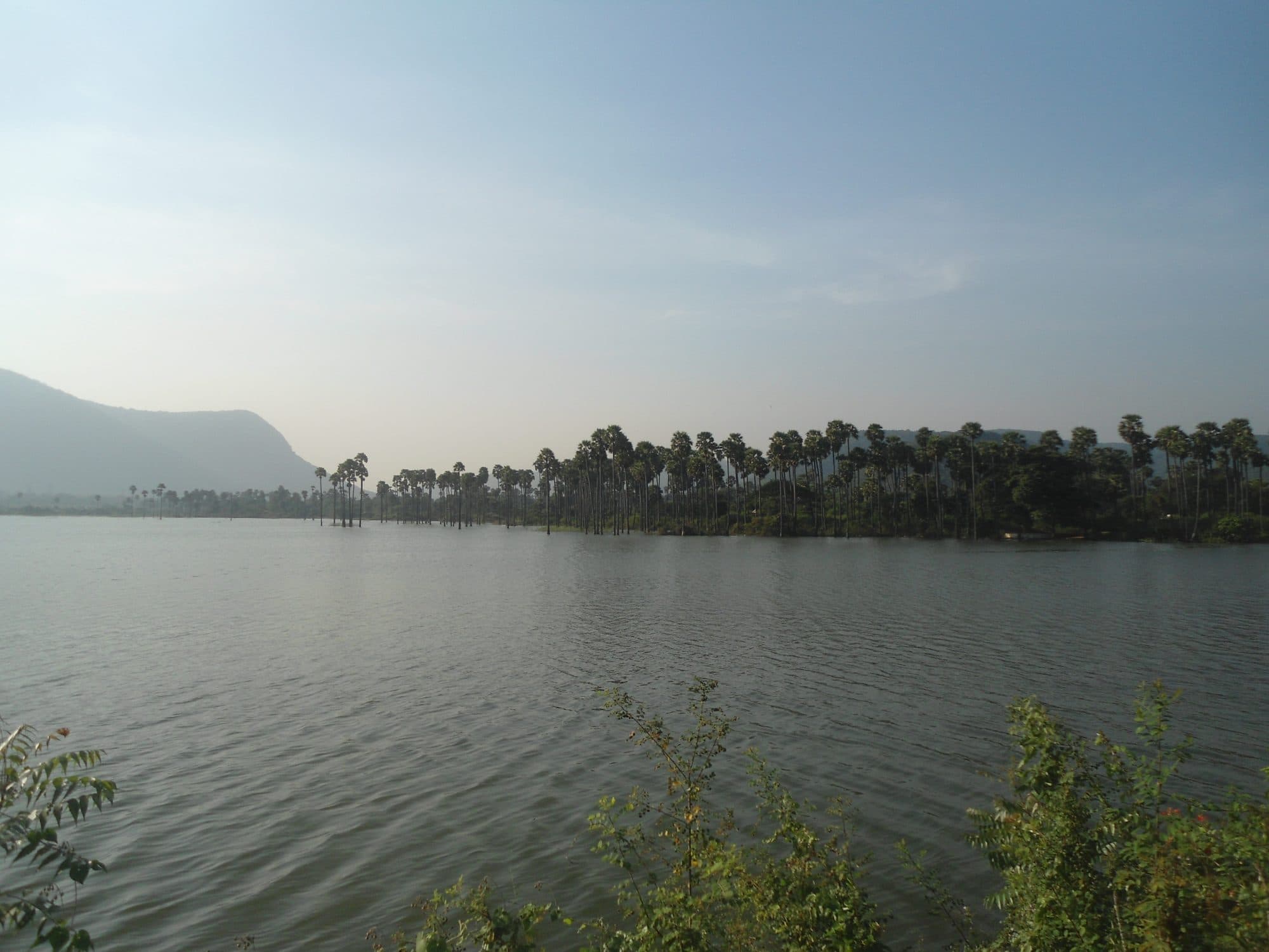 Mudasarlova reservoir in Visakhapatnam: a calm sheet of water edged by palms, with a forested hill on the left under a pale sky.